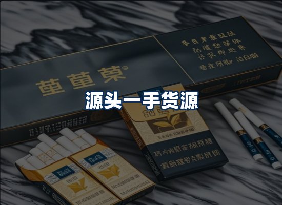 专业团队办公环境